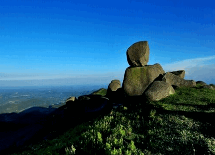 浦北县“世界长寿之乡”吉祥物、LOGO设计和宣传口号征集启事