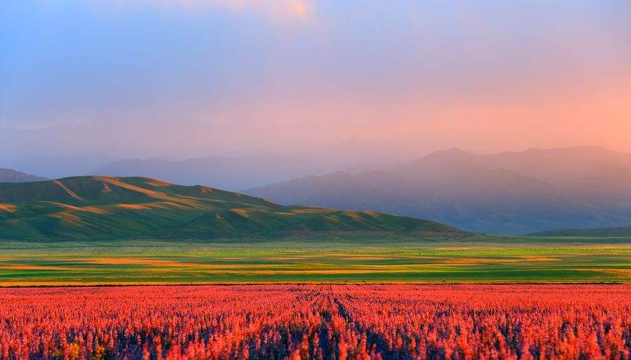 “砥砺奋进的五年”主题作品征集