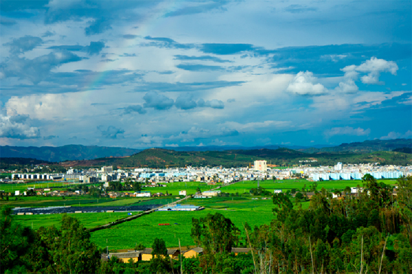 牟定县2017年大学生志愿服务西部计划地方项目志愿者招募公告