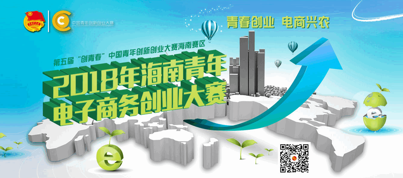 2018年海南青年电子商务创业大赛